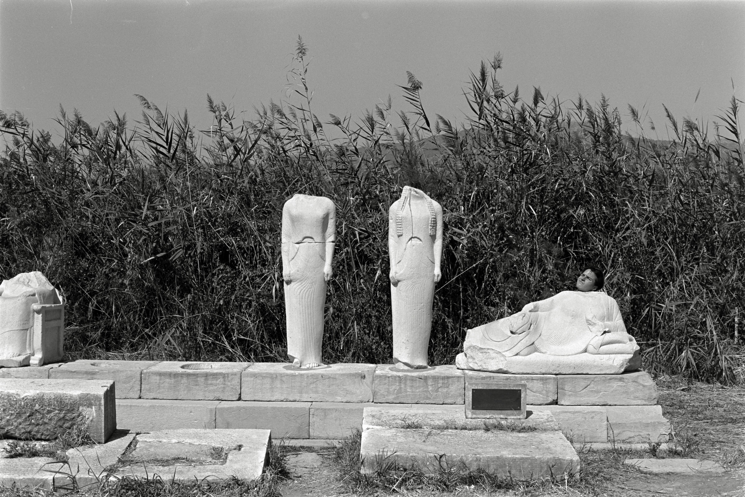 AHP F1991 09 003 sc240914 img06 NLP